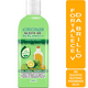 thumbnail image 2 of Acondicionador VivoNatural con Aceite de Bergamota 500 ml, 2 of 4