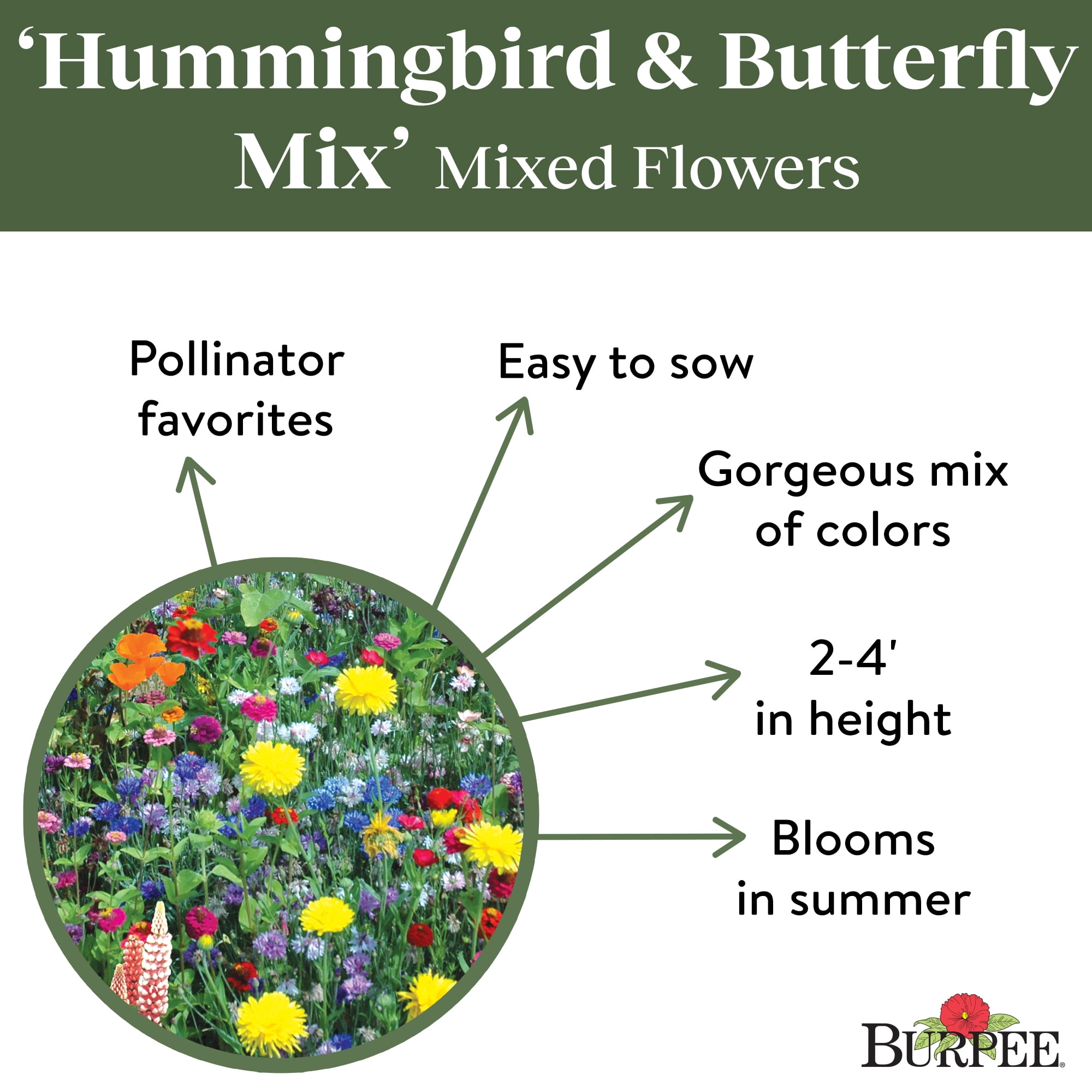 Burpee Hummingbird & Butterfly Mix Mixed Flower Seed, 1-Pack