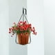 thumbnail image 5 of 4 soportes colgantes para plantas, ganchos de pared de hierro para exteriores, decoración rústica para interiores, faroles, cercas, comederos para pájaros y campanillas de viento, 5 of 8