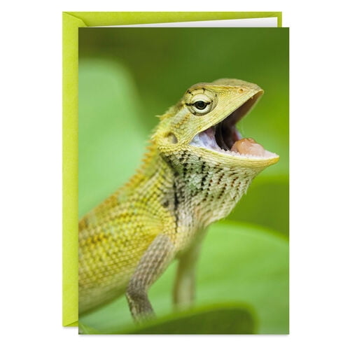 If You Were a Lizard Funny Birthday Card If You Were a Lizard Funny Birthday Card
