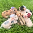 thumbnail image 4 of Muñeca Reborn Pig OtardDolls, realista, silicona completa, 13 cm, 4 of 7