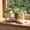 Red-RD, variant on MMJ Lazy Smiling Face Planter Pot Human Shaped Resin Figurine Flower Holder Desktop Home Decor 9.06x4.13x3.94in