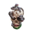 thumbnail image 2 of Fiudx Decoración del hogar Esqueletos de Halloween de resina, simulación realista de cráneo humano, modelo de hueso de cabeza, accesorio de Halloween, mini esqueleto realista, decoración espeluznante, 2 of 4