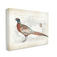 thumbnail image 4 of Stupell Industries Pheasant & Vintage Pattern Animals & Insects Painting Gallery Wrapped Canvas Art Print Wall Art, 48 x 36, 4 of 8