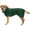 Green, variant on Forievic Dog Drying CoatDog Bathrobe Towel -Dry Fast Dog Bag-Fast Drying Super Absorbent Pet Dog Cat Bath Robe Towel-Blue-L