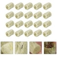 thumbnail image 2 of 40pcs Grow Wool Plugs Soilless Hydroponic Planting Grow Blocks, 2 of 8