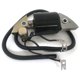 thumbnail image 3 of Ignition coil compatible with Honda G150 G200 G300 F400 F500 engine motor replacement 30560-887-015 30500-887-303, 3 of 4