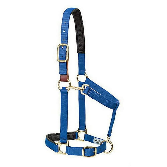 Weaver Breakaway Adjustable Halter Blue