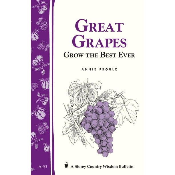 Great Grapes eBook
