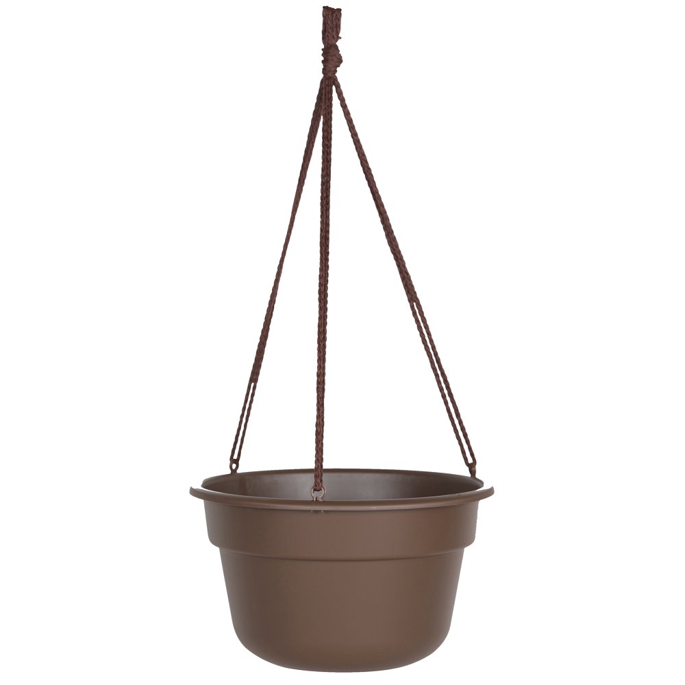 Bloem Dura Cotta Hanging Basket 12" Chocolate