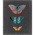 thumbnail image 3 of Naomi McCavitt 20x23 Black Modern Wood Framed Wall Art Titled - Butterflies on Slate III, 3 of 5