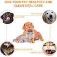 thumbnail image 2 of Kit de Cepillo de Dientes y Pasta de Dientes para Perros y Gatos BANYUO Electrónica, 2 of 6