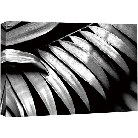 wall26 Canvas Print Wall Art Details of Palm Tree Leaf Floral Nature Photography Minimalism Tropical Scenic Relax/Calm Black and White for Living Room, Bedroom, Office - 12"x18"
