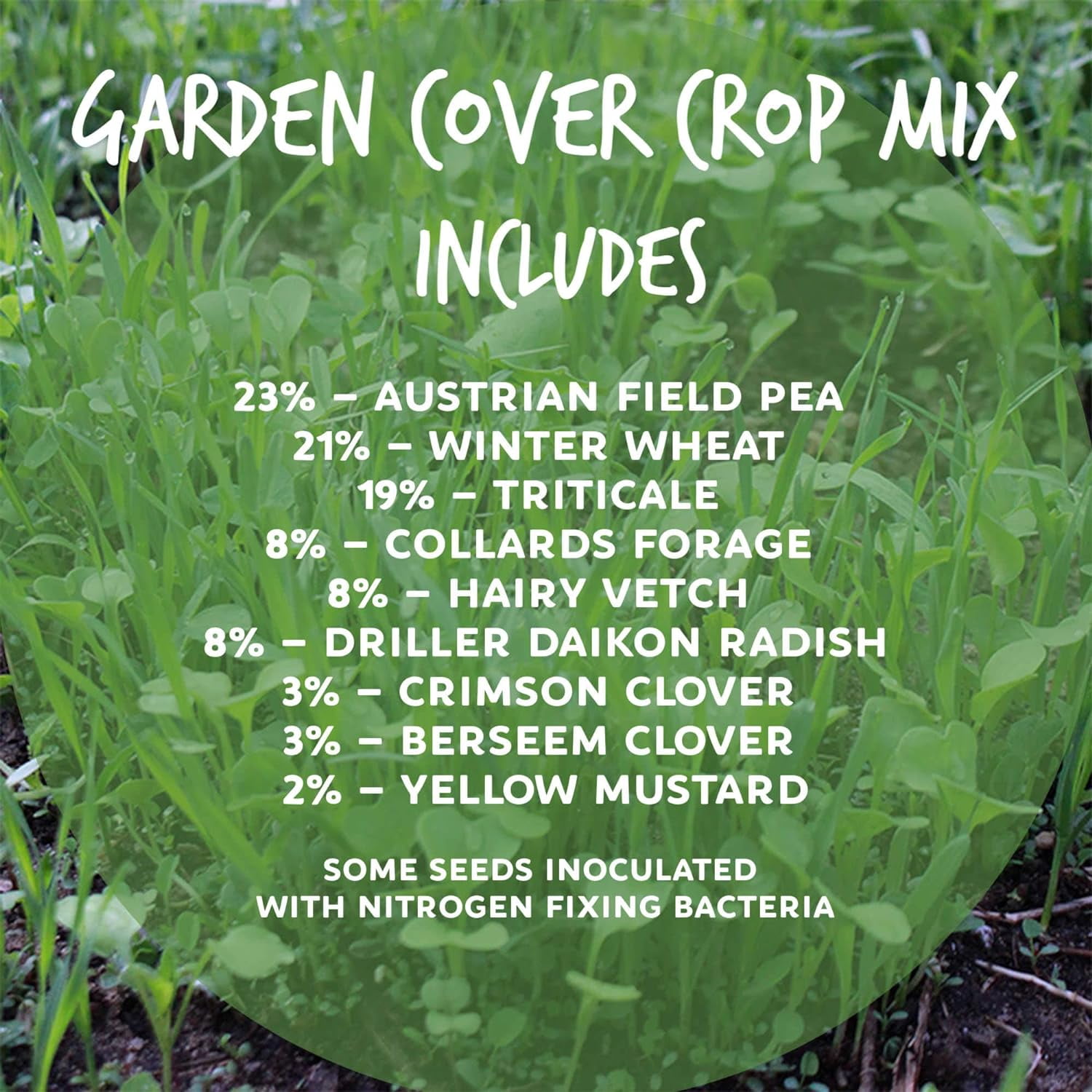 Garden Cover Crop Mix Seeds - 5 Lbs - Blend of All Purpose Gardening Cover Crop Seeds: Hairy Vetch, Daikon Radish, Forage Collards, Triticale, More