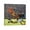 Frame-style, variant on Reggie Bush Canvas Poster Art Poster Canvas Painting Decor Wall Print Photo Gifts Home Modern Decorative Posters 12x12inch(30x30cm)
