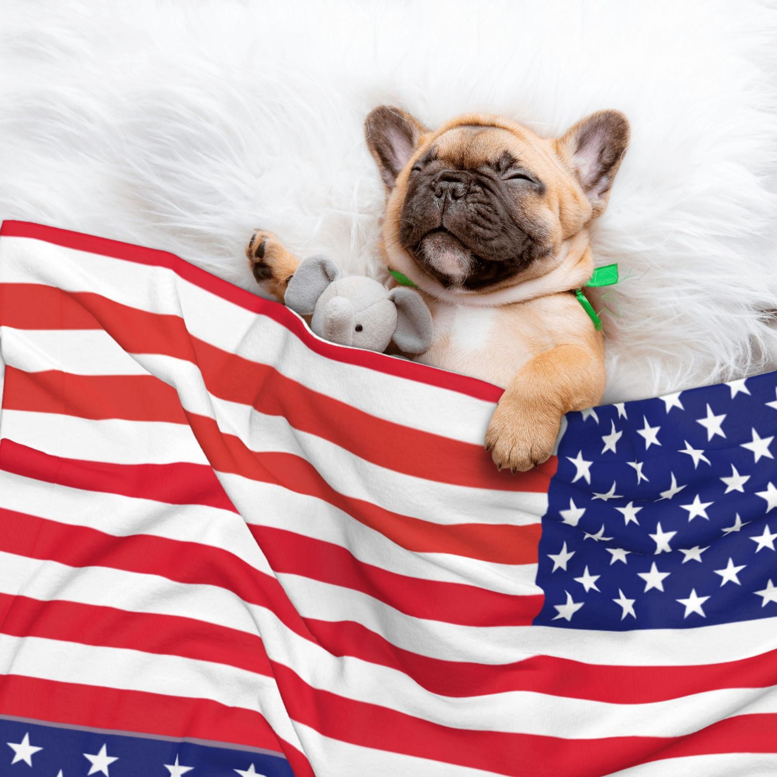 America Flag Patriotic Dog Blanket Soft Warm Flannel Cat Blanket Great Pet Throw for Cats Puppy Small Medium Large Dog