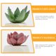 thumbnail image 5 of 18 piezas de suculentas artificiales no tocadas seleccionas una planta suculenta falsa en tallos verdes, 5 of 7