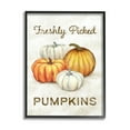 thumbnail image 2 of Stupell Industries Freshly Picked Pumpkins Phrase Orange White Pumpkin Harvest, 16 x 20,Design by Ziwei Li, 2 of 5