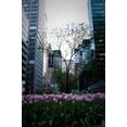 thumbnail image 2 of Erin Berzel 31x44 Gallery Wrapped Canvas Wall Art Titled - Tulips in Manhattan, 2 of 4