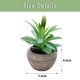 thumbnail image 2 of Uds mini simulación suculentas bonsái adornos creativos plantas artificiales pequeñas macetas redondas, 2 of 5