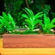 thumbnail image 3 of WORGEOUS Maceta de madera para flores, maceta rústica de madera para jardinería, maceta para suculentas, jardinera de madera, 3 of 8