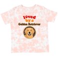 thumbnail image 3 of Inktastic Golden Retriever Dog Lover Boys or Girls Toddler T-Shirt, 3 of 5