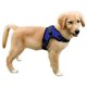 thumbnail image 1 of Arnés para perros Copatchy sin tirones, reflectante, ajustable, azul, XS, 1 of 8