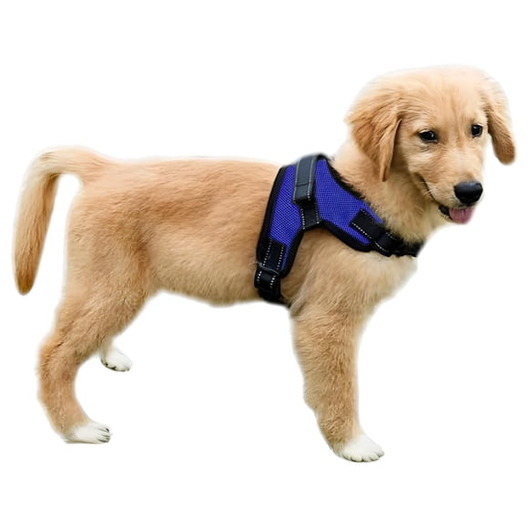 Arnés para perros Copatchy sin tirones, reflectante, ajustable, azul, XS