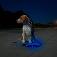 thumbnail image 5 of Sherry Kline LED Light-Up Pet Collar - USB Rechargeable - Flashing Glow in the Dark Size Small, Color: Blue, 5 of 5