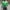 Green, variant on Nmnitkp Shirts for Men Women ​​​​​Fashionable Graphic Long Sleeve Shirt Graphic Tees Unisex 3D Printed Short Sleeve Novelty Tops T-Shirts & ​​Skin-Friendly Long Sleeve Shirts For Men（Plus Size）