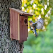 Pennington Red Cedar Bluebird Wild Bird House, 1 Pack