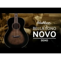 Washburn Bella Tono Novo 25.5 in Acoustic Guitar, Multicolor