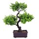 thumbnail image 1 of Decoración de escritorio de bonsai de planta artificial en maceta, 1 of 5