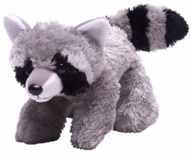 wild republic raccoon