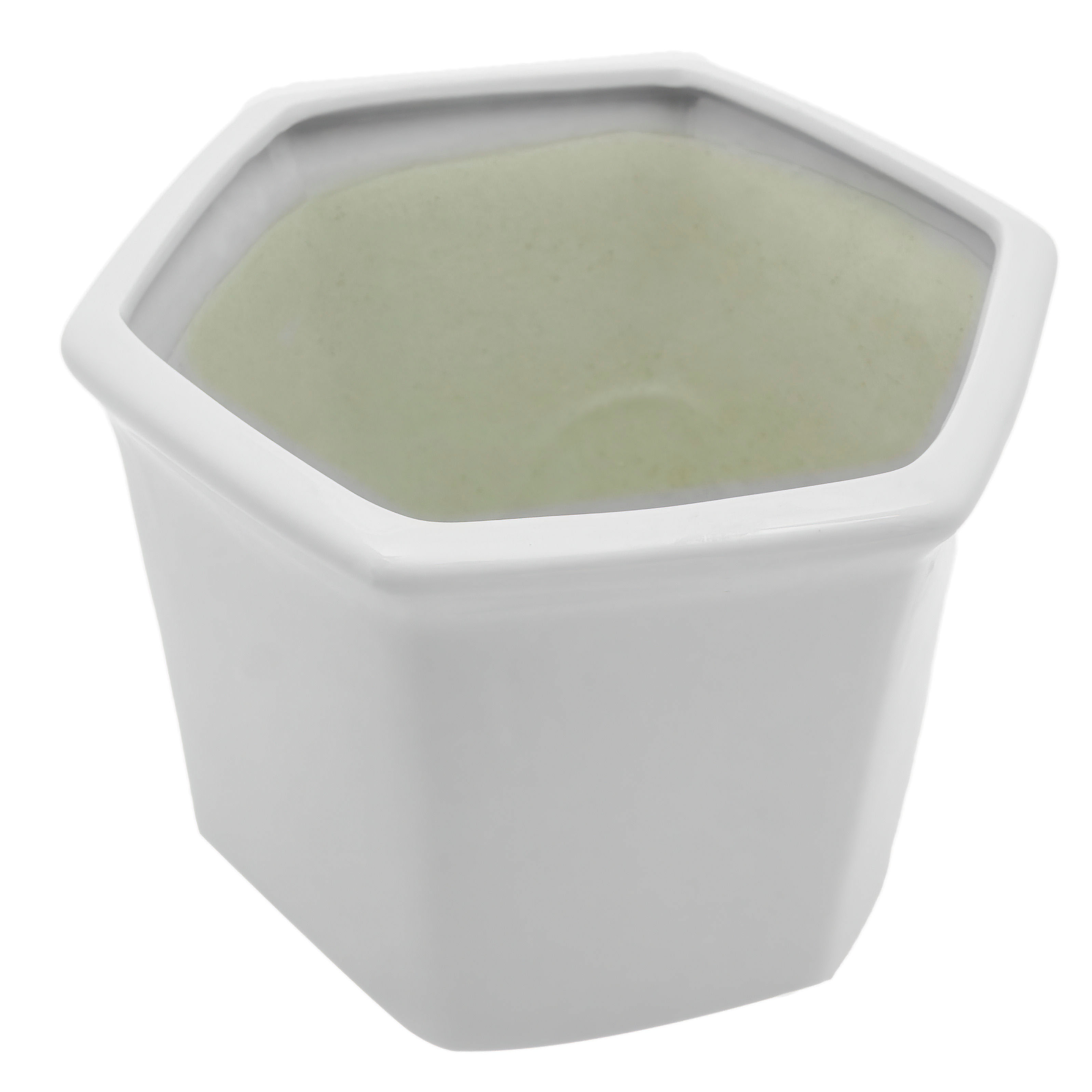 10" White Porcelain Flower Pot