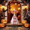 thumbnail image 6 of RUINIXCW Halloween Porch Goose Outfits for 23 inch Cement Plastic Goose Statue Accessories Holiday Porch Goose Clothes Ghost Dress Witch Hat Pumpkin Basket Set Yard Patio Lawn Art Decor (No Goose), 6 of 6