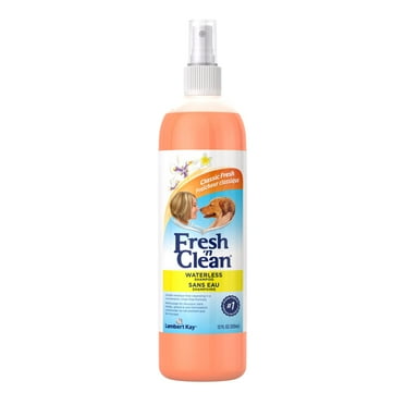 Fresh 'n Clean® Waterless Shampoo, Classic Fresh Scent, 12 oz.