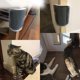 thumbnail image 5 of Peine de masaje para esquinas de pared, rascador, cepillo de aseo, herramienta para pelo largo y corto, gatitos, gatos y perros, más suave, 5 of 5
