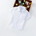 thumbnail image 2 of AJTQTH Boys School Uniform Suit Shirts for Toddler Kids Teens Cute Solid Color Clothes Classic Collar Short-Sleeved Shirts Blouses with Pocket Beige 13-14 Years, 2 of 4