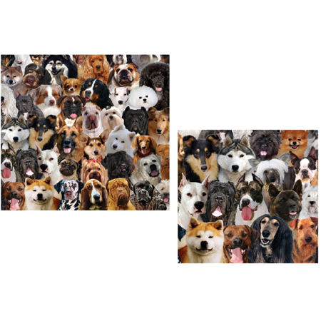 Dog Party Dinner & Beverage Napkins  Best in Show