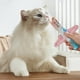 thumbnail image 4 of 2025 Nuevo Exprimidor De Snacks Para Gatos Herramienta Para Exprimir Snacks Para Gatos Máquina Exprimidora De Paquetes De Carne, 4 of 4