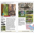 thumbnail image 2 of Naturalist Dragonflies of the North Woods, (Paperback), 2 of 4