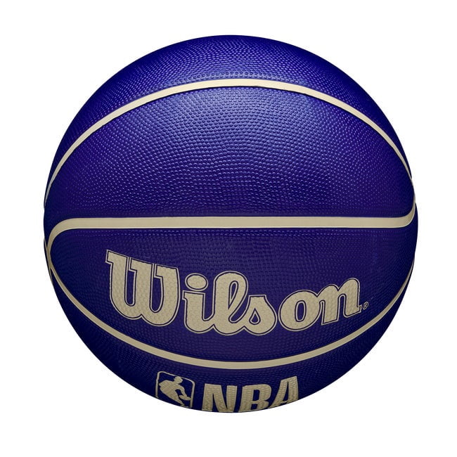 Wilson NBA DRV Outdoor Basketball