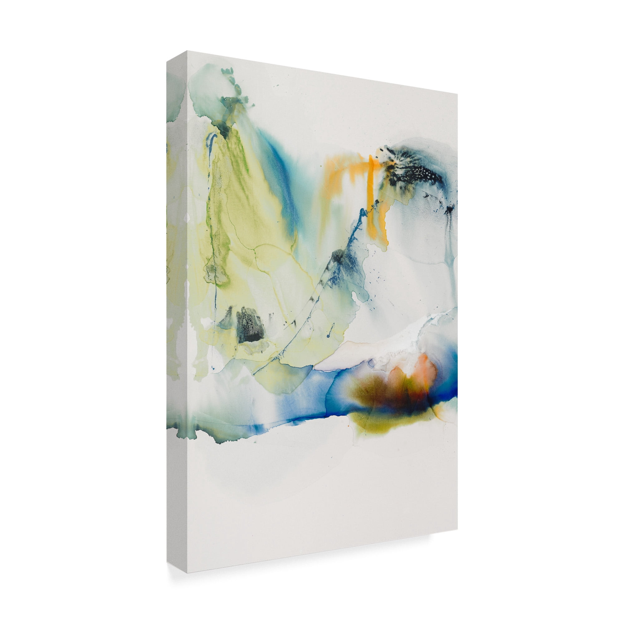 Trademark Fine Art 'Abstract Terrain I' Canvas Art by Sisa Jasper