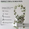 thumbnail image 3 of New Vine Climbing Rack Flower Plant Trelli Support Frame Green Plants Brackets, 3 of 7