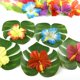 thumbnail image 2 of Fiesta en la jungla, decoraciones hawaianas con temática de jungla Tiki Luau para celebraciones de verano, guirnalda de hojas de tucán con pájaros tropicales, linternas de papel en forma de abanico,, 2 of 5