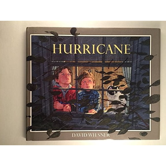 Pre-Owned Hurricane by David Wiesner (Paperback)