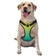 thumbnail image 1 of Balery Teal To Yellow Gradient Arnés para Perros Grandes Antitirones, Arnés con Correa para Gato, Arnés Tipo Chaleco para Perros Pequeños-Large, 1 of 6