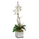 Uttermost Orchidées Kaleama en Verre Polyester et Bois Vert/blanc – image 2 sur 2