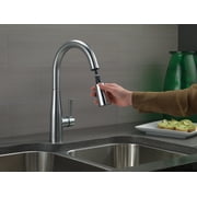 Delta 9113-AR-DST Essa Single Handle Pull-Down Kitchen Faucet in Arctic Stainless